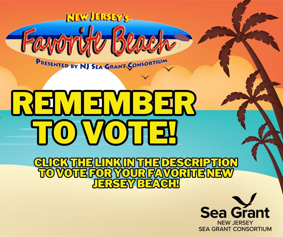 To vote for your favorite New Jersey Beach, click this link conta.cc/45T3cUe ! One winner will be declared in Monmouth County, Ocean County, Cape May County, and Atlantic County, along with an overall winner! 
#NewJerseyFavoriteBeaches2023 #NewJersey #Beaches #NJBeaches