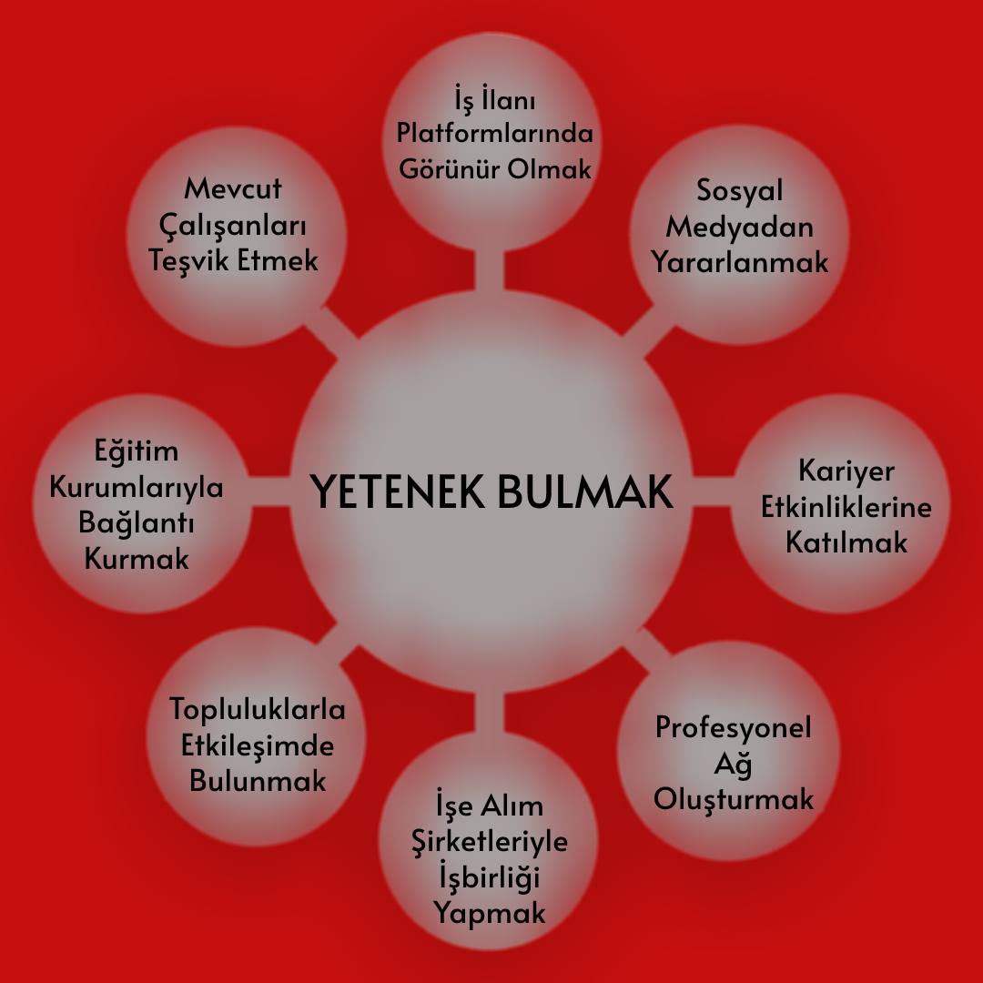 İşletmeler için stratejik bir süreç olan yetenek bulmada başarı için şirketler tarafından birçok yöntem uygulanıyor. Tüm yöntemleri bir arada ve etkili bir şekilde kullanmak, doğru yeteneğe ulaşmayı kolaylaştırıyor. linkedin.com/feed/update/ur…

#iş #insankaynakları #yetenekkazanımı