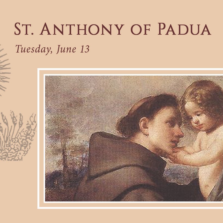 St. Anthony of Padua - PRAY FOR US! 
#franciscanfriar #feastday