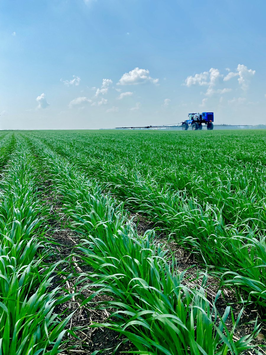 ANTLER VALLEY FARM tweet media