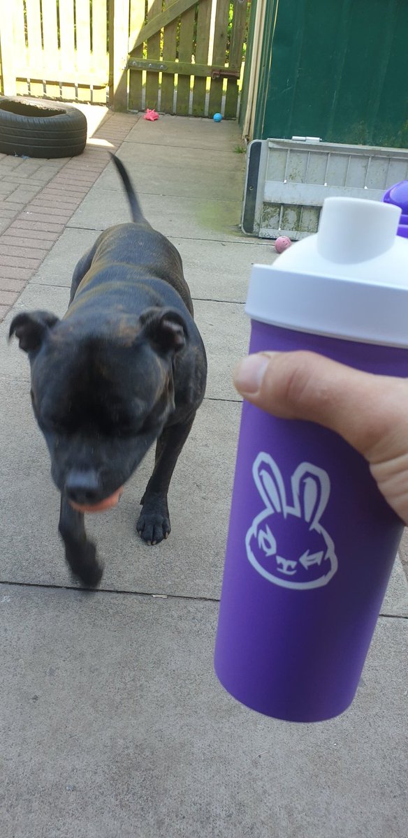 HooniganMunkie's tweet image. Finally finished work, time to chill with my best friend drinking my favourite drink @SneakEnergy #raspberrylemonade