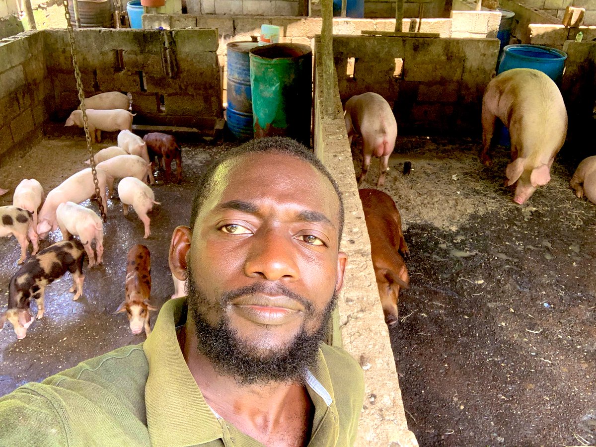 Drop a cool photo of you doing your job 👍🏽

Poultry and Livestock specialist.