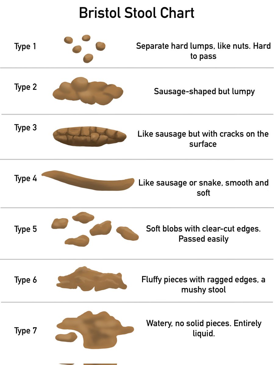 Don't forget your Bristol Stool Chart if you visit the seaside!

Hours of fun playing spot the turd!