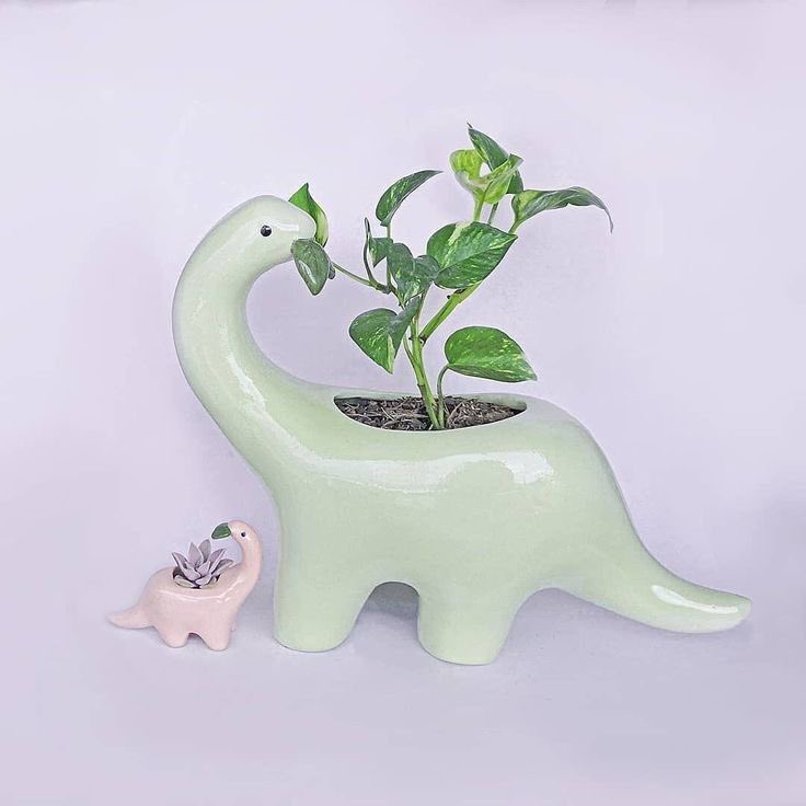 SoftnessDaily's tweet photo. dino planters 🎀 https://t.co/5BBMOLP8hr