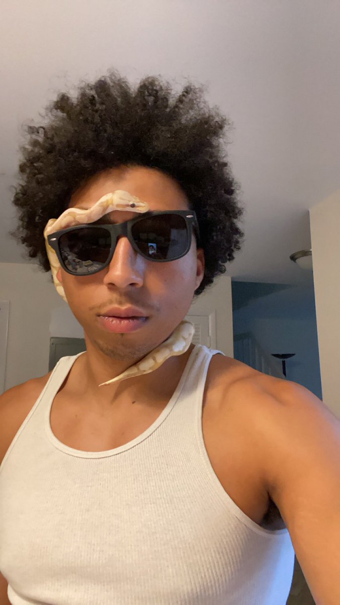 6zay9's tweet photo. Y’all been wanting to see my snake well here it is😂 https://t.co/WaA59QASm3