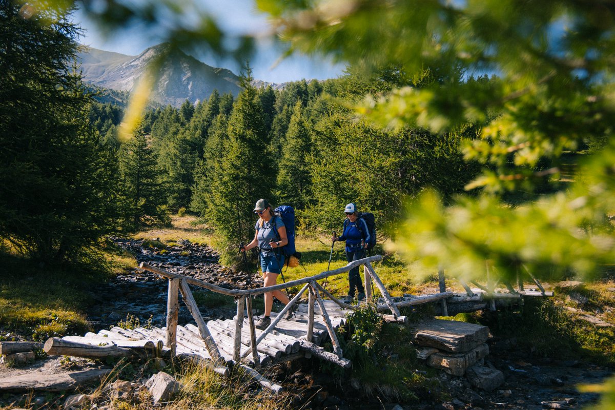 Summer is coming... 😎 Plutôt vélo ou rando ? 
🌲 RDV les week-ends du 17/18 et 24/25 juin pour la pré-ouverture des #Orres et à partir du 1er juillet en continu ☀️