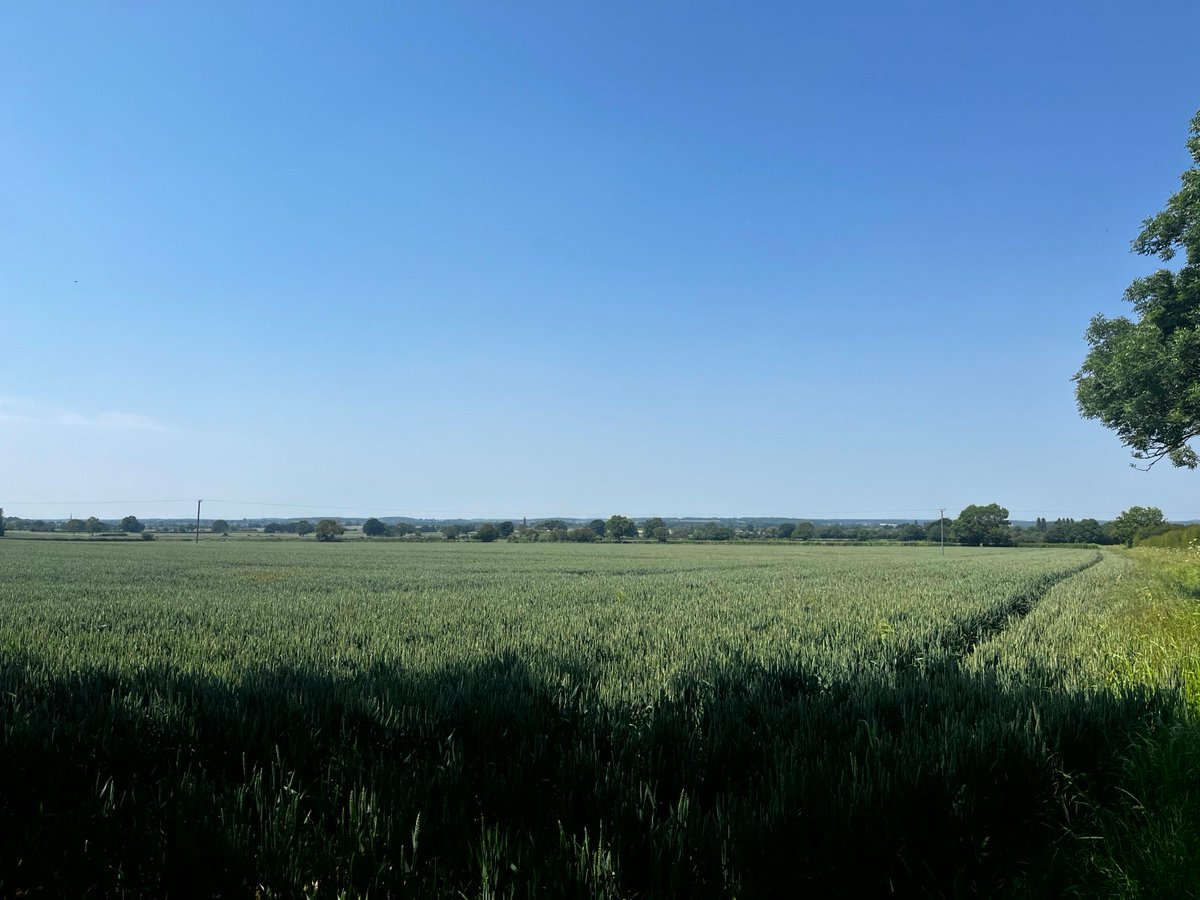 PDG Architects Ltd tweet media