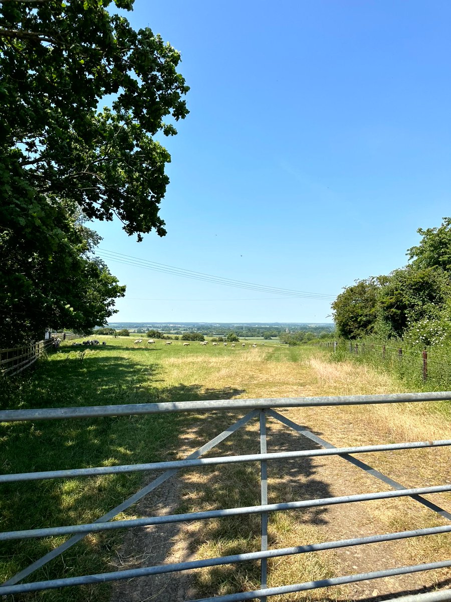 PDG Architects Ltd tweet media