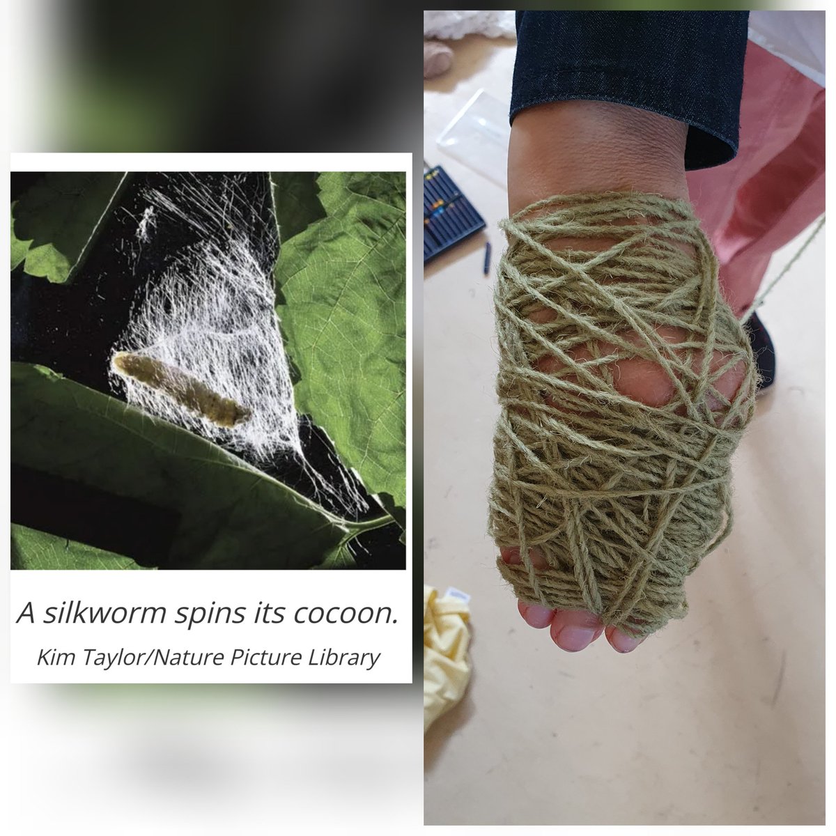 We're getting excitingly wrapped up in dreaming for Buzz Stop - and we're looking for a Design Assistant to come join in. If you're interested in nature, arts, community collaboration, you're 18-25, based in the West Mids and from the global majority, check link in bio.