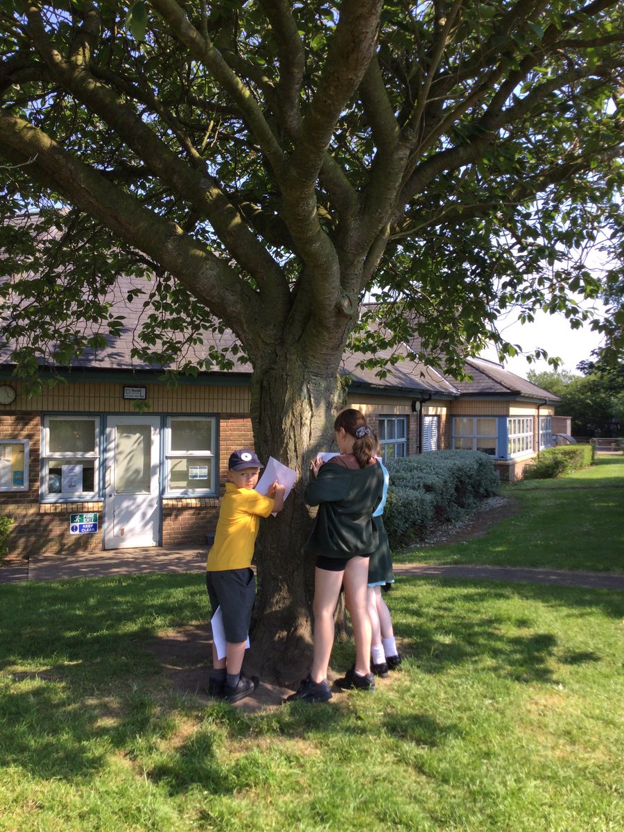 Our Science Club enjoyed ‘Science Around Us’ when they visited the meadow, pond area and the Queens Platinum Jubilee Tree. They did some bark rubbing and compared bark and leaves from different trees @GreatSciShare @My_ScienceClub #GreatSciShare #Bridlington