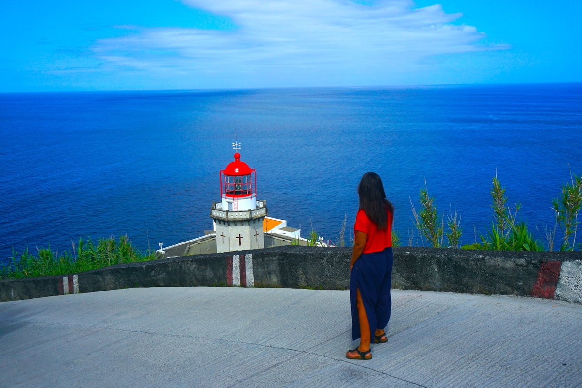 RandomTrip tweet media