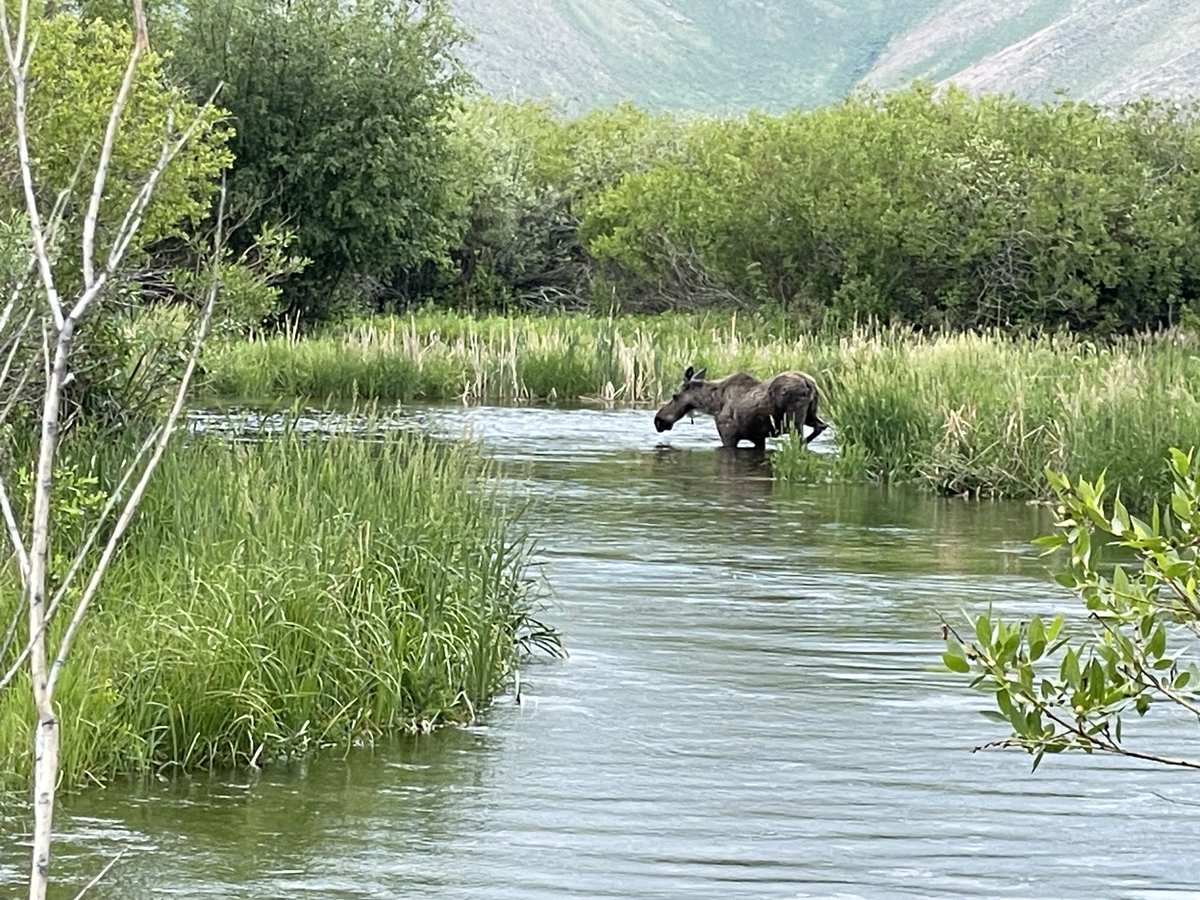 Keith Ridler tweet media