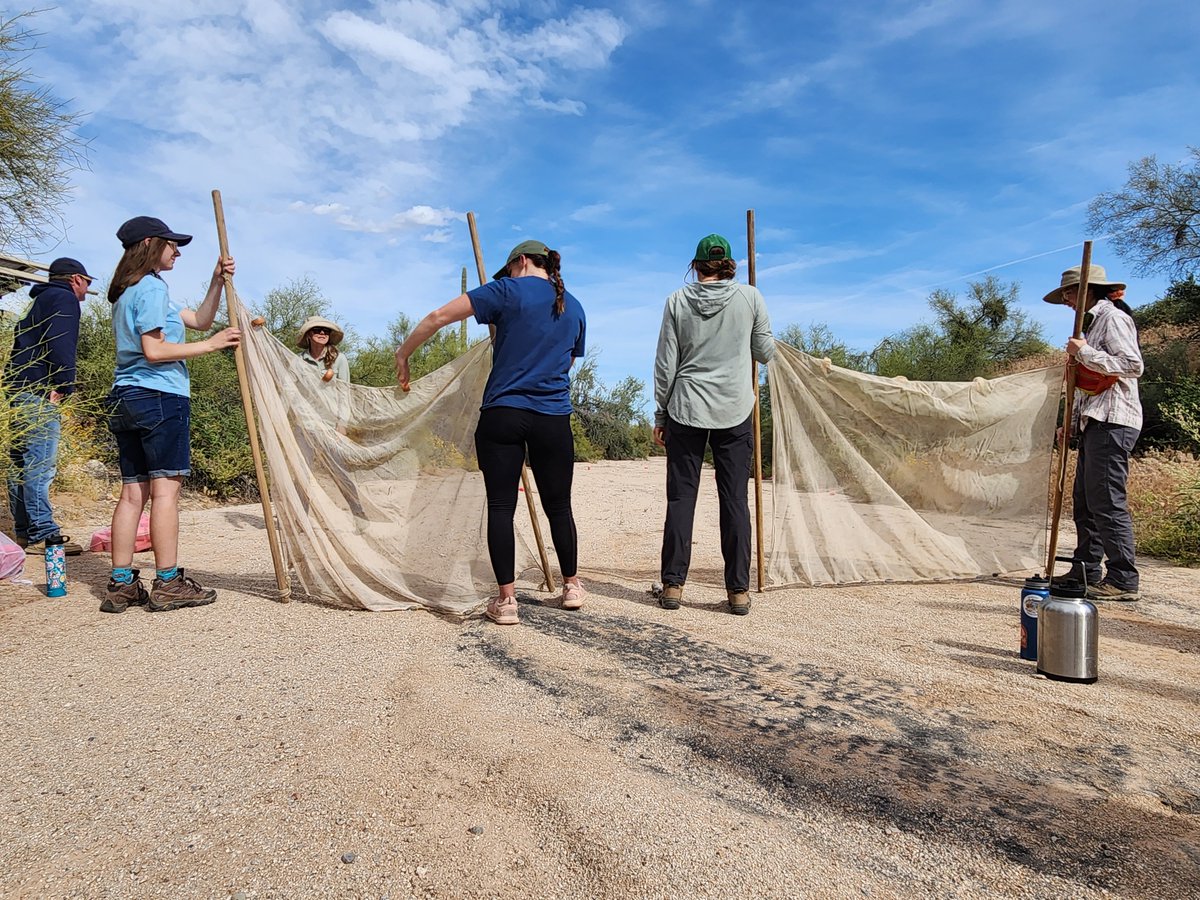AZ Wildlife Society tweet media