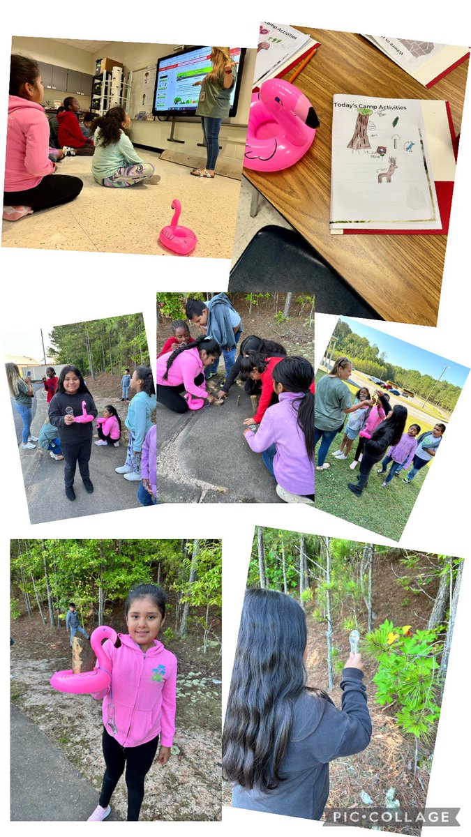 Mrs. Manley teaches tweet media