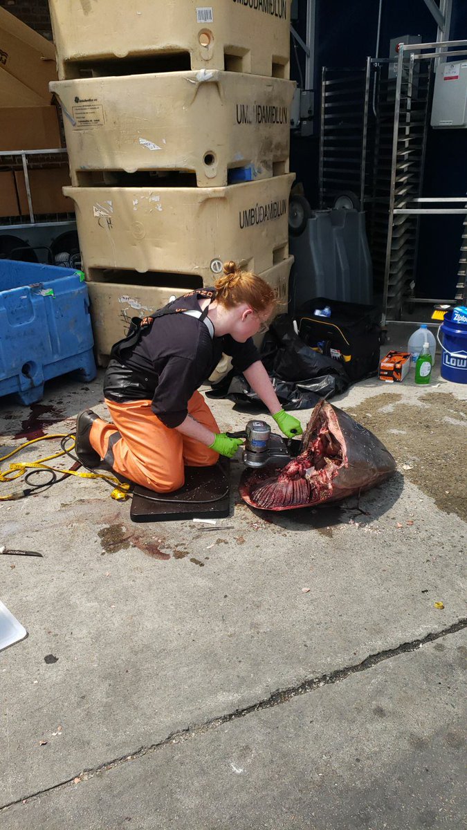 Shipping out to Boston lately to get some samples !