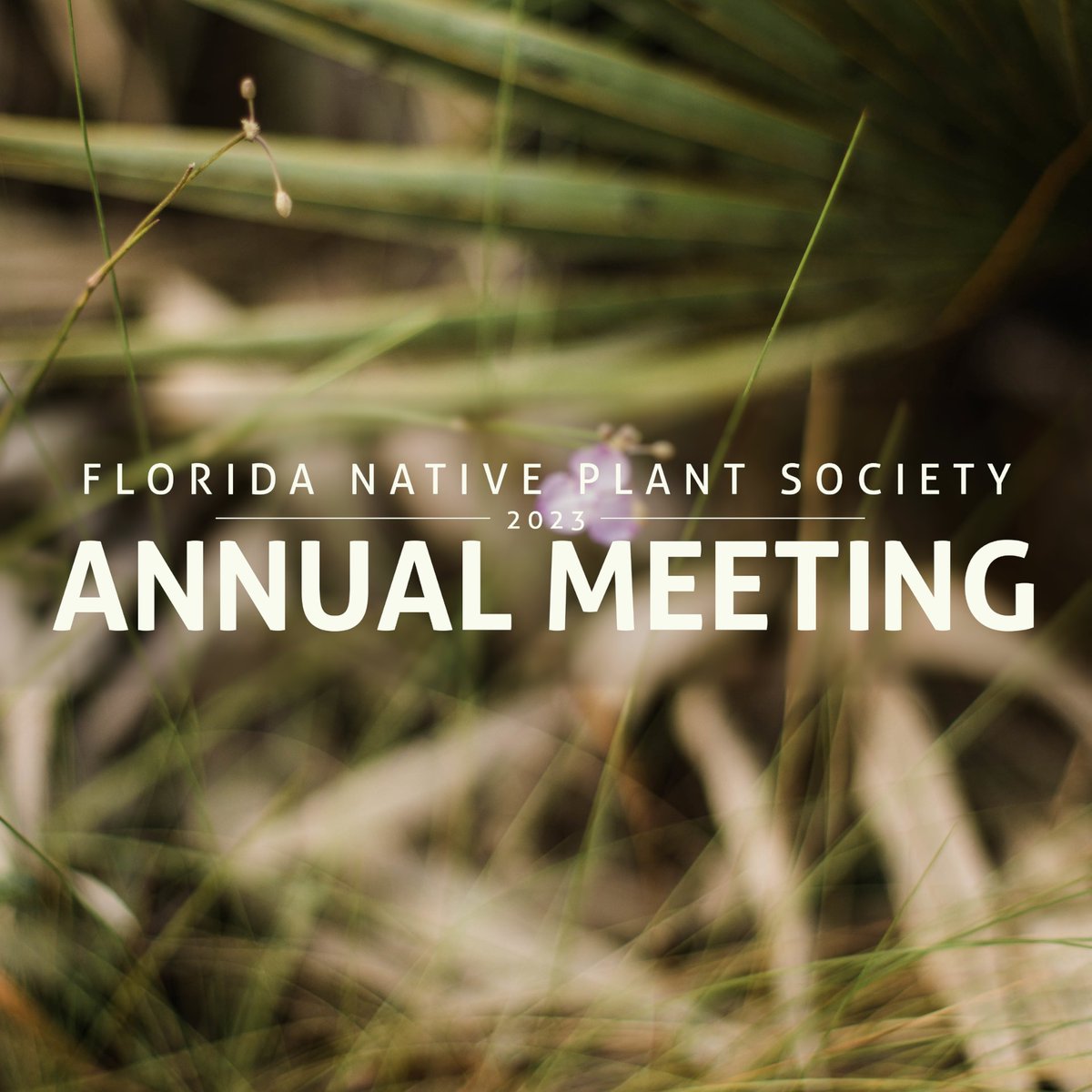 Our 2023 Annual Meeting is coming up this Saturday!⁠
⁠
Everyone is invited but only members can vote to elect our new boardmembers. ⁠
⁠
We'll be reviewing a successful 2022 and announcing our Palmetto and grant award winners. at 10am EST on 6/17.
⁠
youtube.com/live/G116GrQ9u…