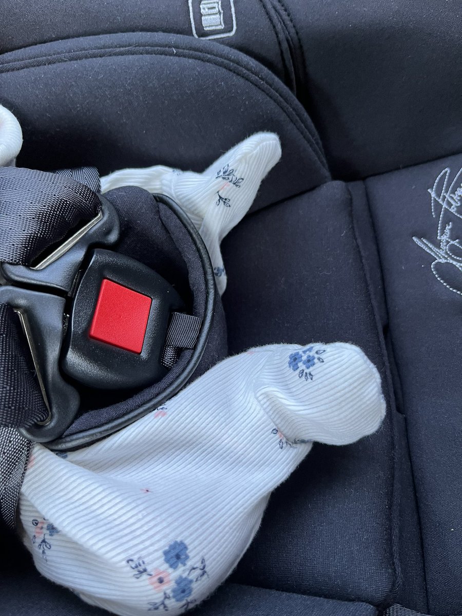 Silvia Killingsworth tweet media