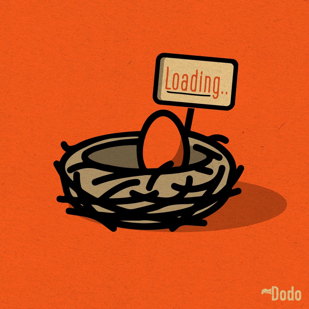 BitDodos's tweet image. There’s trouble at the nest! 🪹

Someone (or something) has stolen our egg 🥚 

Will you help us bring it back ?

👉🛎️✅