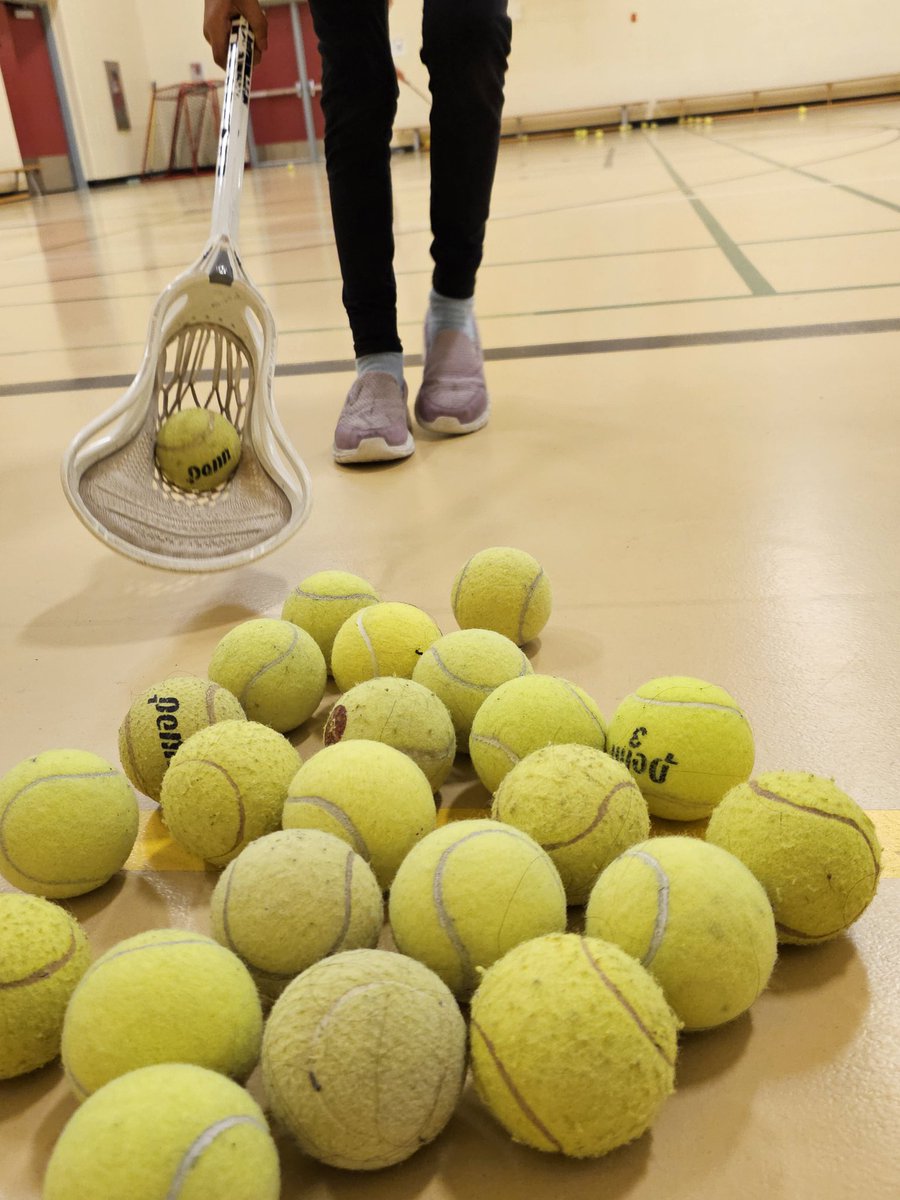 Mrs. Leung-Chow's Grade 1 Class tweet media