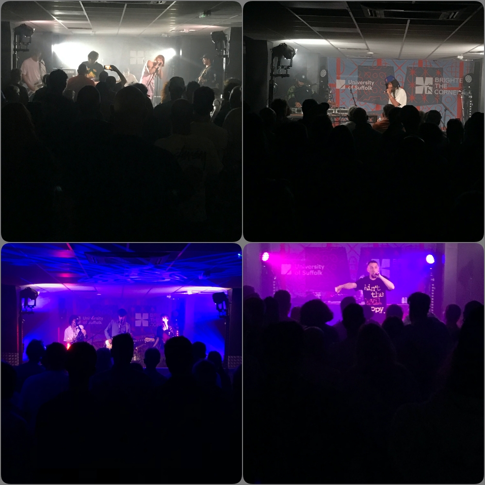 semi-echo tweet media