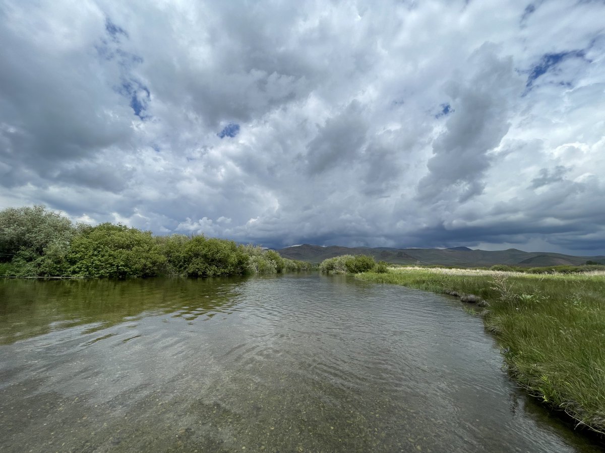 Keith Ridler tweet media