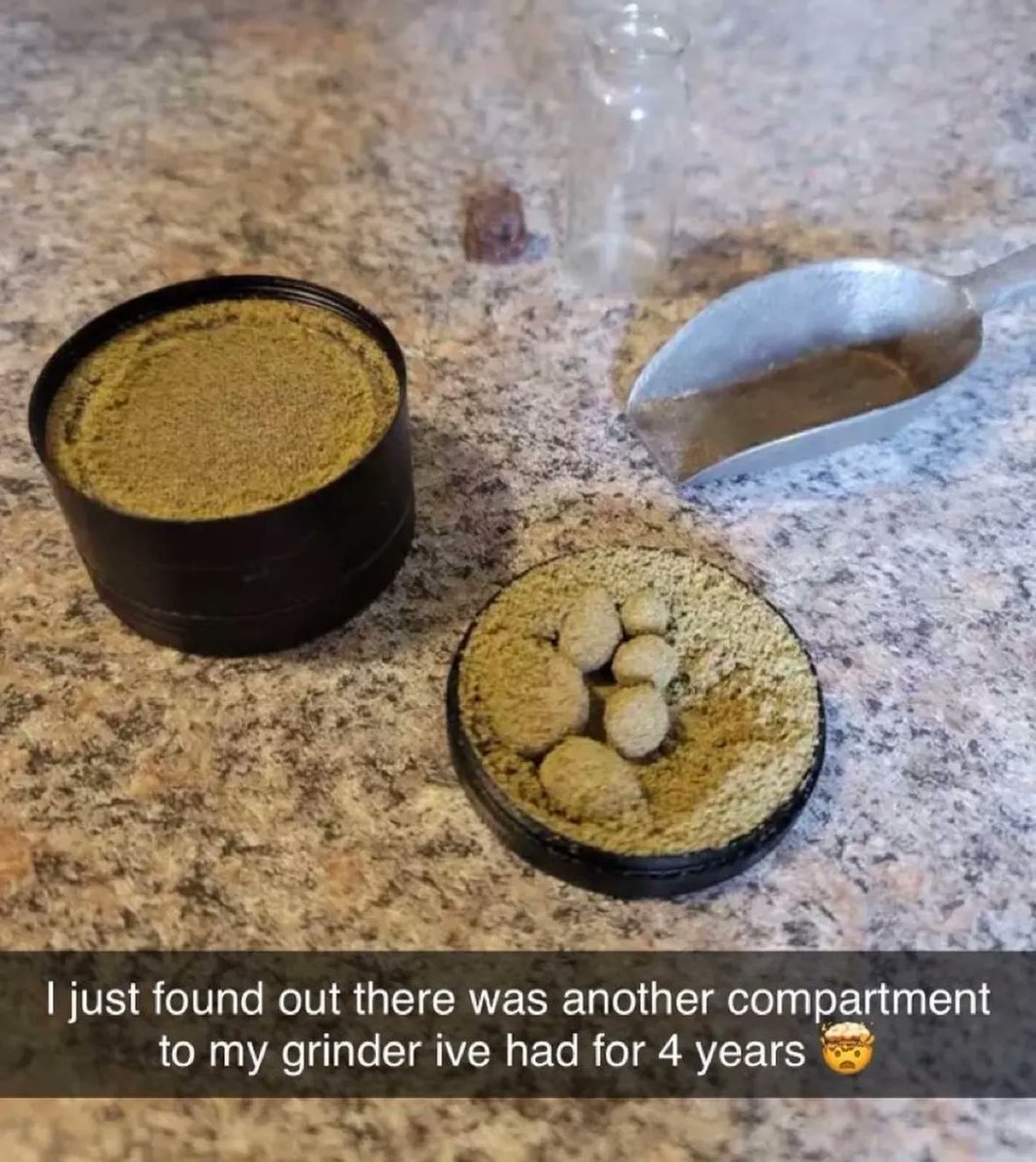 This is the dream