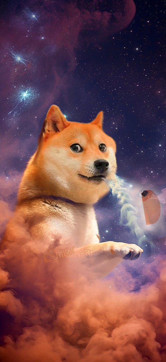 DOGEbunker's tweet image. 😶‍🌫️ #dogecoin✨💨