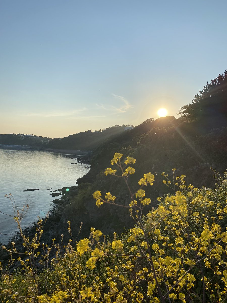 ☀️💛 summer nights