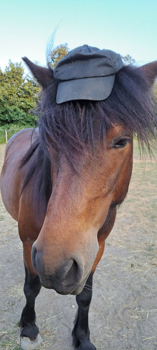 #ponyhour Jake got my hat on tonight