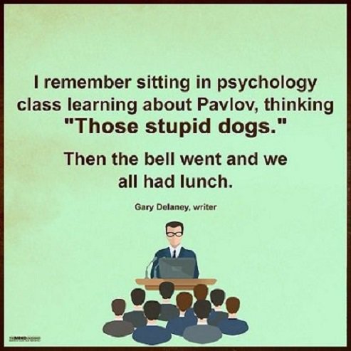 Psikoloji dersinde Pavlov'un deneyini dinliyorduk. 'Ne aptal şeyler, şu köpekler' diye düşündüm. Sonra zil çaldı, hepimiz yemeğe çıktık.

Gary Delaney