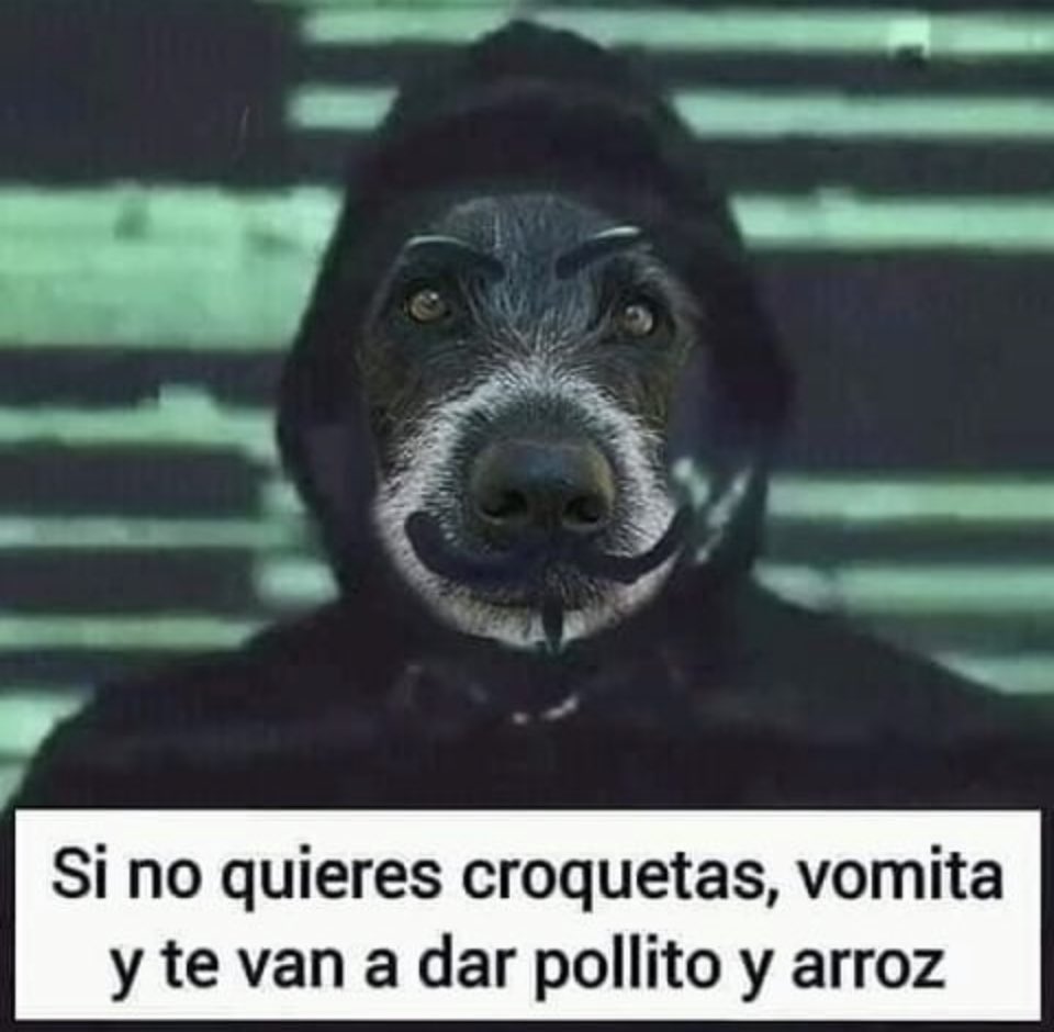 Protección Animales tweet media