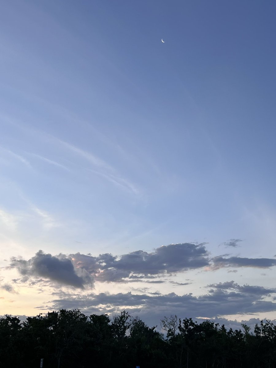 Lela (@lela65117550) on Twitter photo 