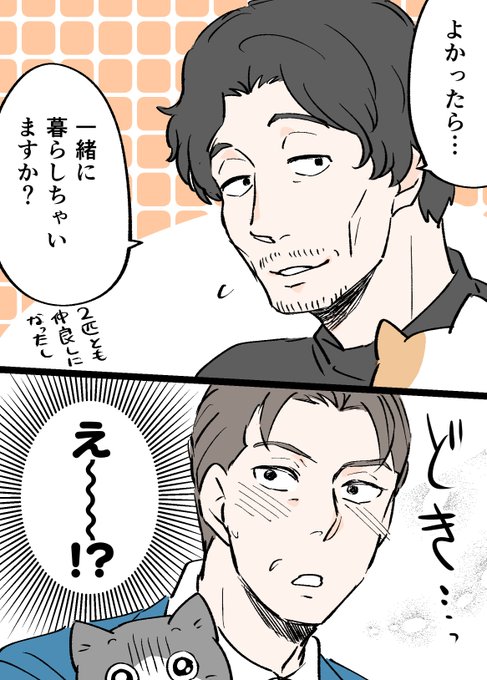 🐈BL…