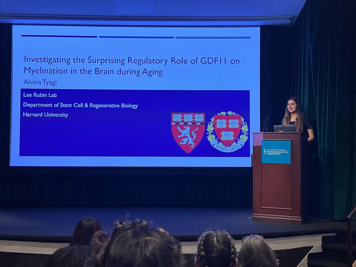 Lee Rubin tweet media