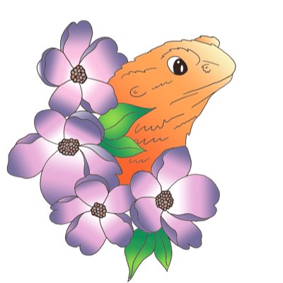 CuriousReptiles's tweet photo. #NewProfilePic https://t.co/buZcp6E9Iq