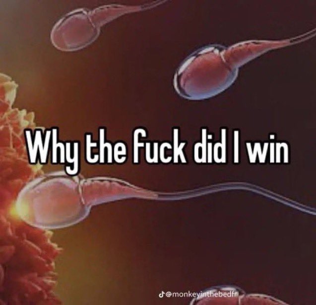 🕐HOURLY🕑 shitpost (@hourly_shitpost) on Twitter photo 