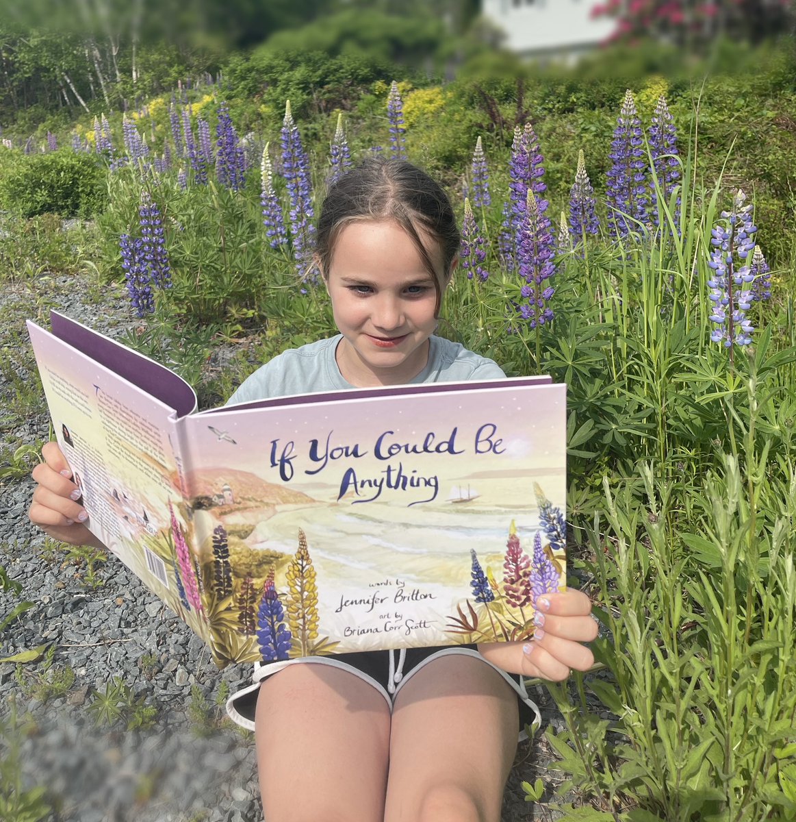 The lupins have arrived in #AtlanticCanada! These beautiful blooms don’t last long. To hold onto them year round, I hope you’ll check out my new book and song, “If You Could Be Anything”. @NimbusPub It’s my lullaby love letter to all things #EastCoast. (Art by Briana Corr Scott)