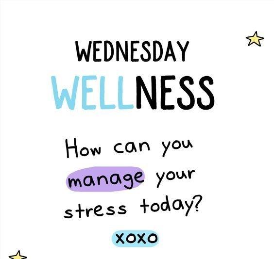 My dogs know when I'm stressed and they calm me. What helps you manage your stress? If you know what is causing it do you avoid it at all costs? I know it's tricky depending on the circumstances/situation.

#WednesdayMotivation #wednesdaythought #Wednesday #Wednesdayvibe