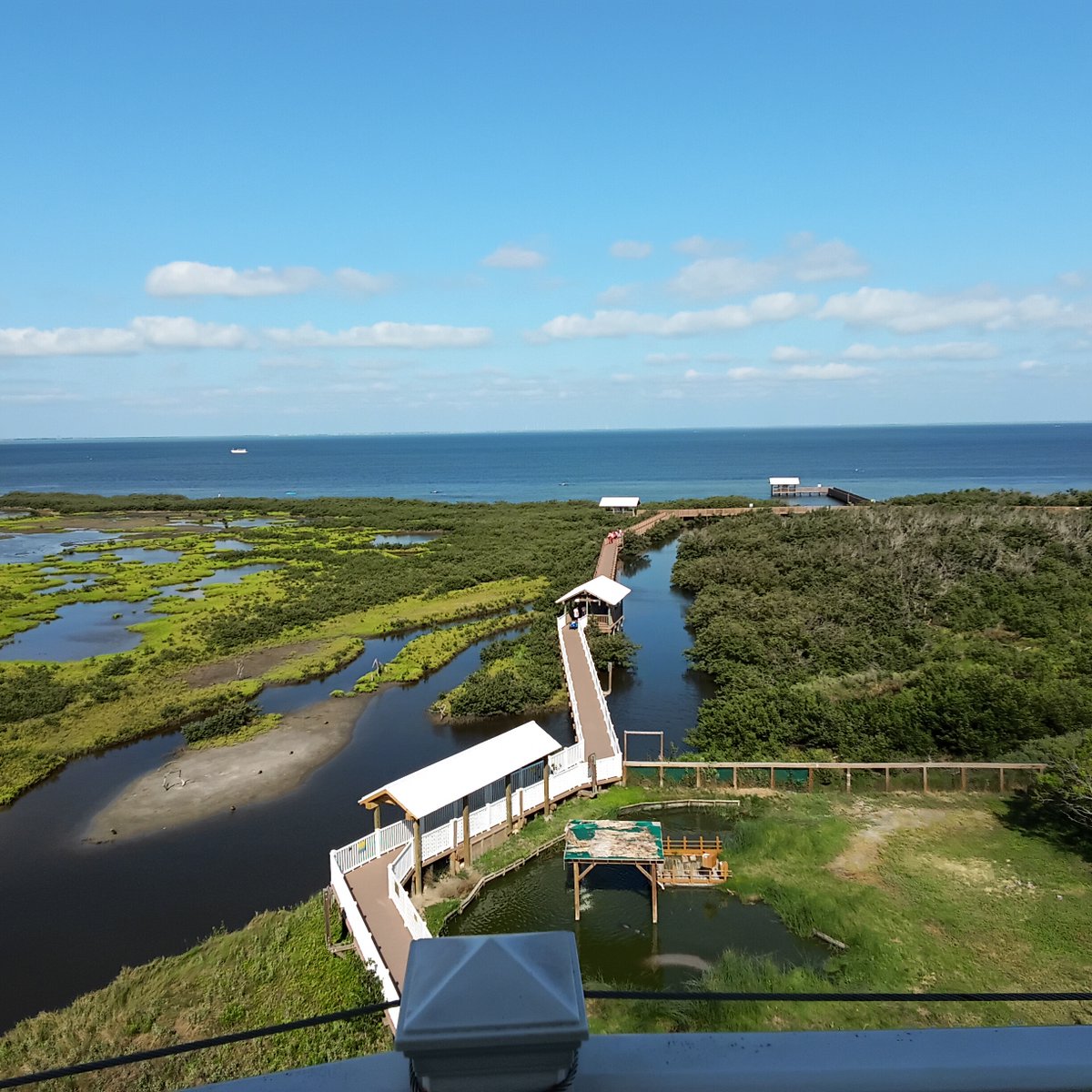 spibirding's tweet photo. It's definitely a Sunny day and as we all know, Sunny days give us happiness!  Come on over to see the beautiful water view of the gulf and bay from our 5th floor observation tower. For more information on us. https://t.co/pkm8flBeBd      https://t.co/f0YefKn1R2 https://t.co/aSAGPD4oSt