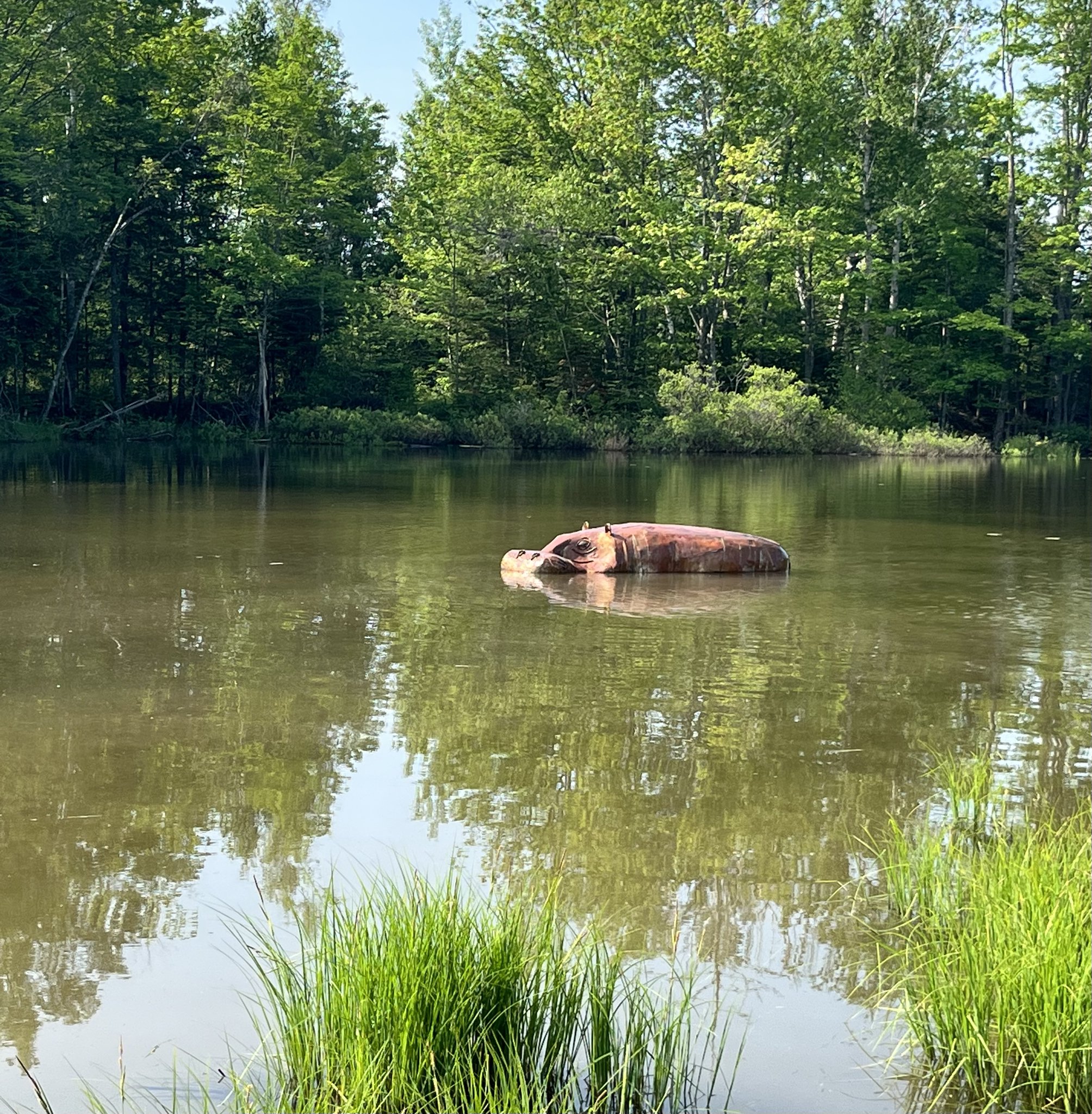 City of Fredericton on Twitter "Visitors to Killarney Lake Park are in