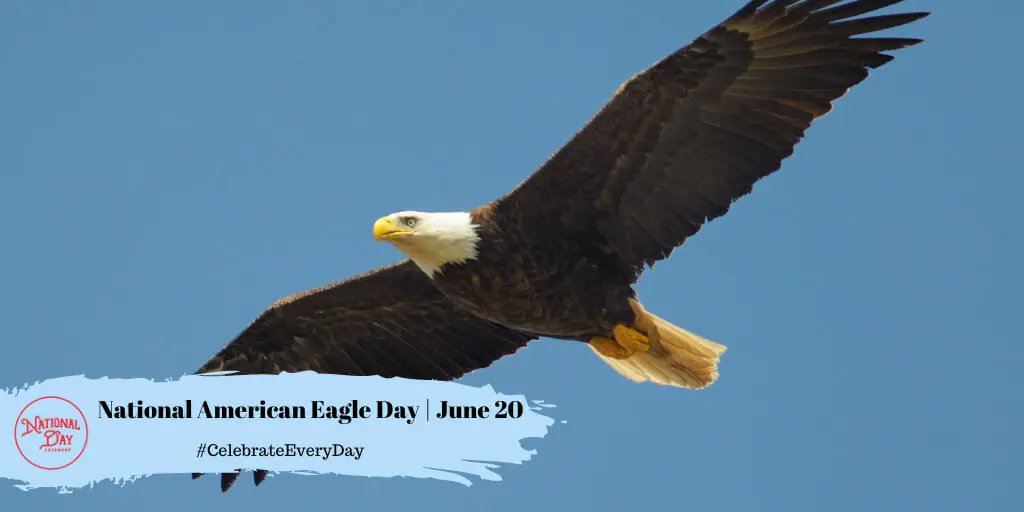 Celebrate the United States’ national symbol on National American Eagle Day! 🦅🇺🇸
#AmericanEagleDay #naturalhabitat #Eagles #history #honor #librarytwitter