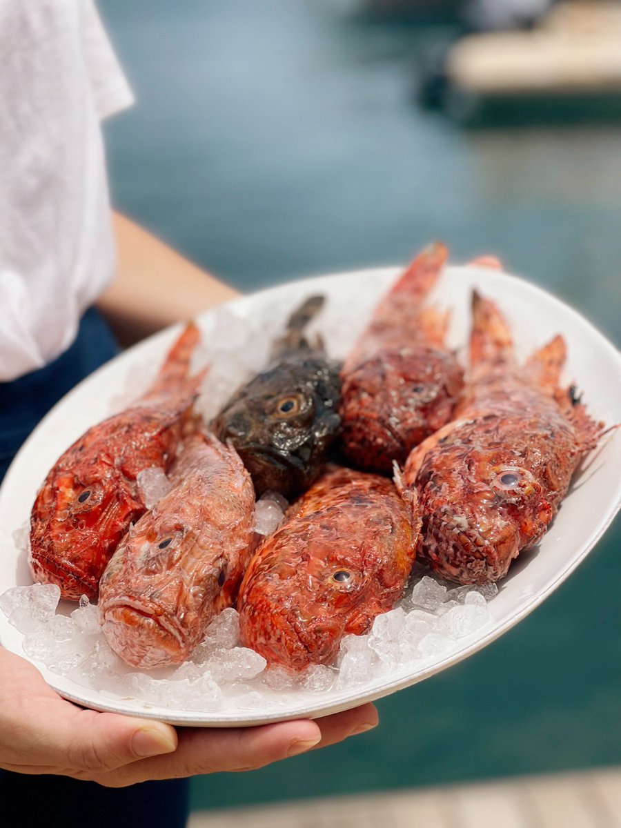 AiguaAire's tweet photo. La rotja d’Aigua💙
#Aigua #Formentera #rotja #peixfresc #gastronomia #islabonita https://t.co/V2eZNjxKcC