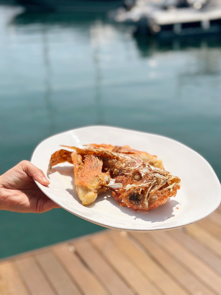 AiguaAire's tweet photo. La rotja d’Aigua💙
#Aigua #Formentera #rotja #peixfresc #gastronomia #islabonita https://t.co/V2eZNjxKcC
