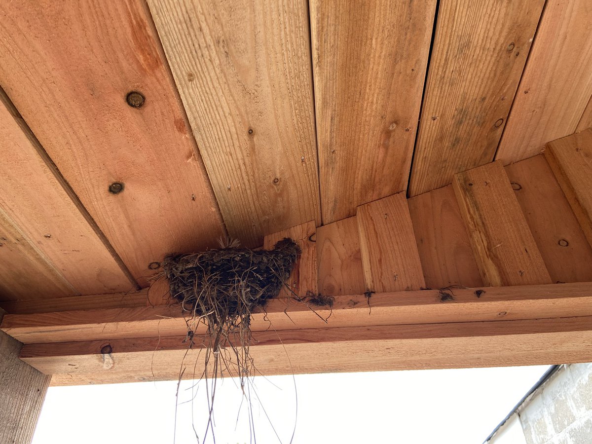 Lia Hunter tweet media