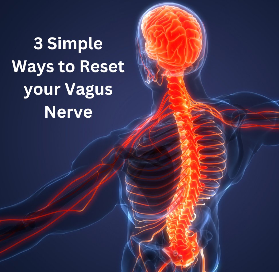 How to stop stress and anxiety in 2 minutes.

The nervous system reset: