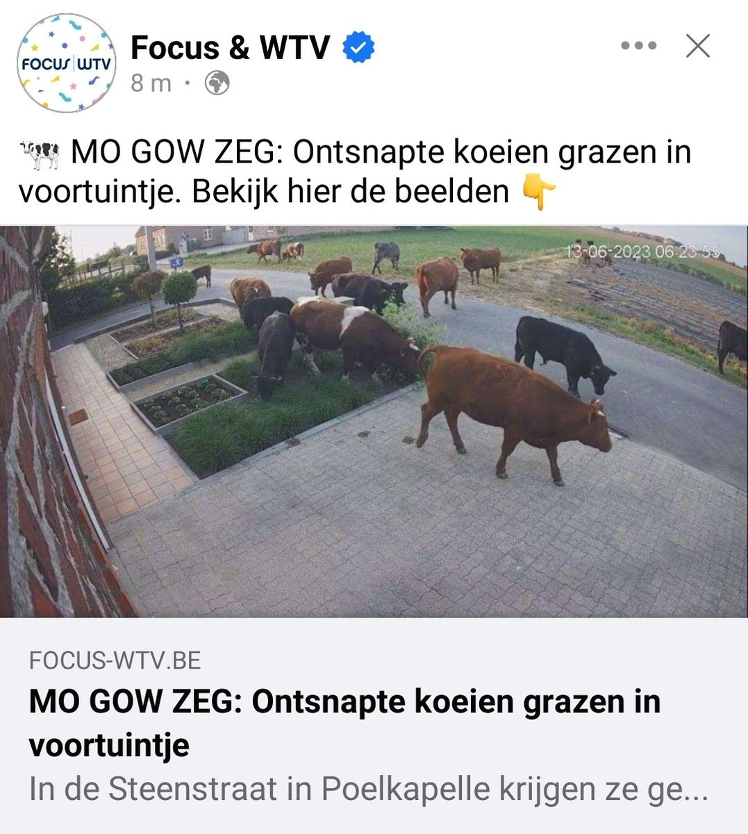 Ik HOU van West-Vlaanderen en ik ga er NOOIT weg