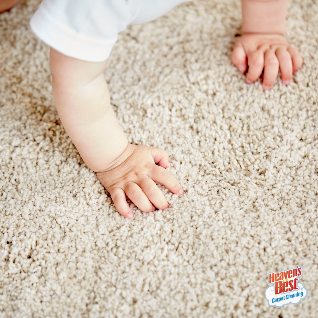 Life is too short for lackluster floors. Contact Heaven's Best and give your carpets the makeover they deserve! ✨

roswellga.heavensbest.com
#HeavensBest #CarpetCleaning #UpholsteryCleaning #FloorCleaning #CleaningServices #BestofRoswell #RoswellGA