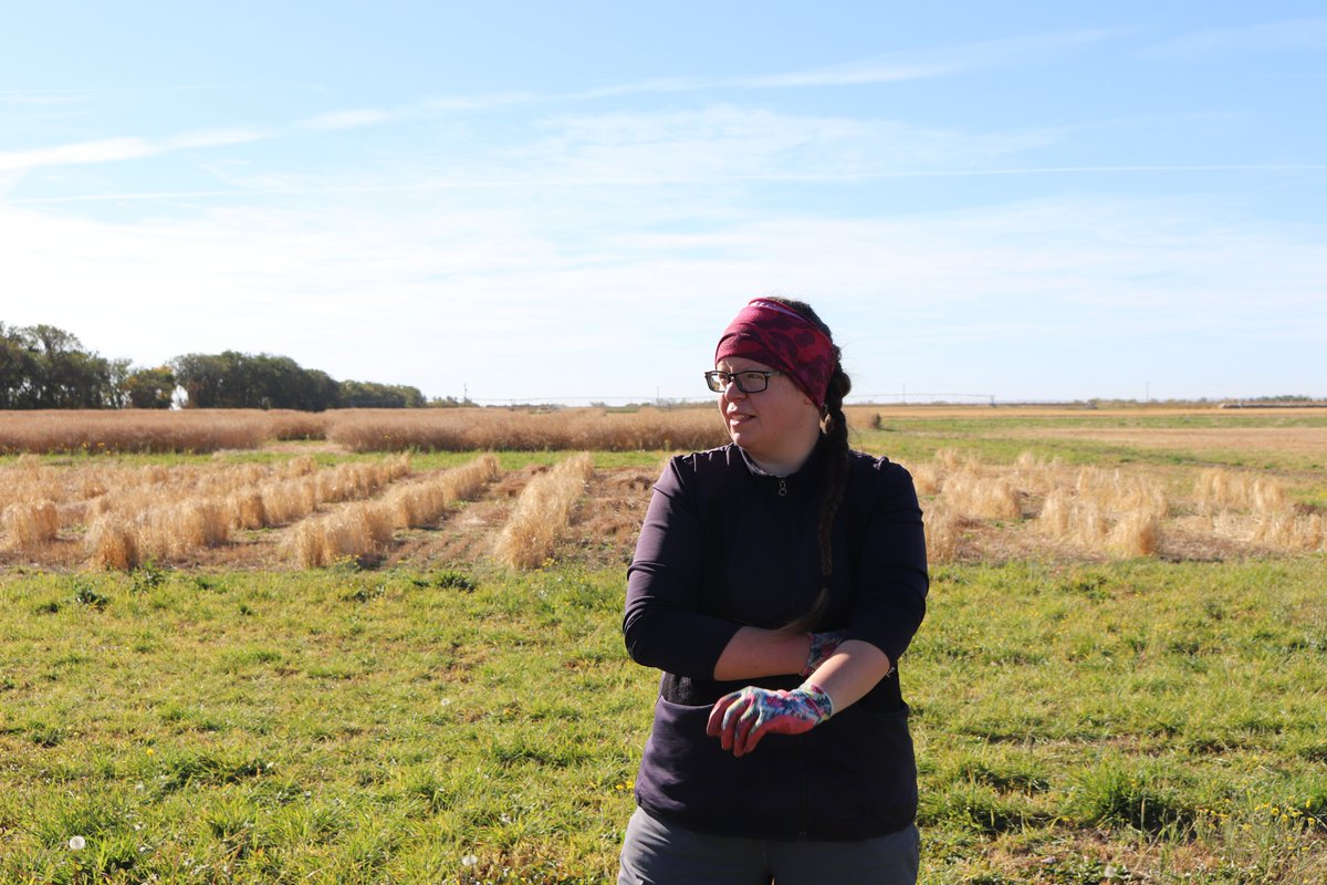 Learn how @AAFC_Canada  researcher Dr. Meghan Vankosky (@vanbugsky) is using historic and current data to investigate western Canada’s most wanted pest populations and model the impacts of climate change 🚨🦗🪲🐛🚔: agriculture.canada.ca/en/scientific-… #GcAggie #WestCdnAg
