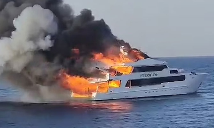 VENEPANDI C.A tweet media