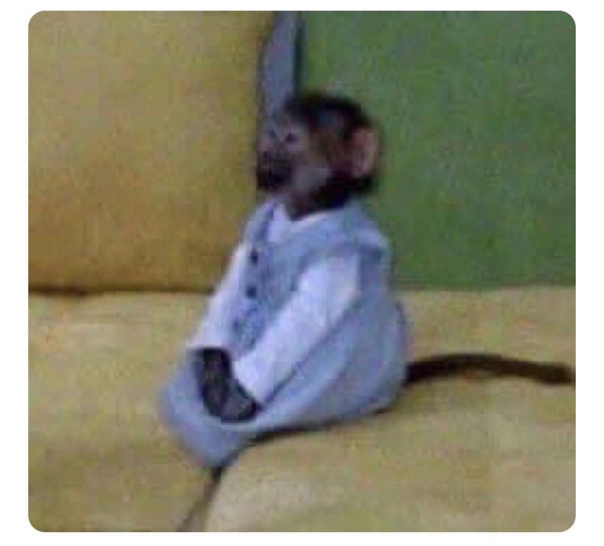 White screaming at the others: 

Me: